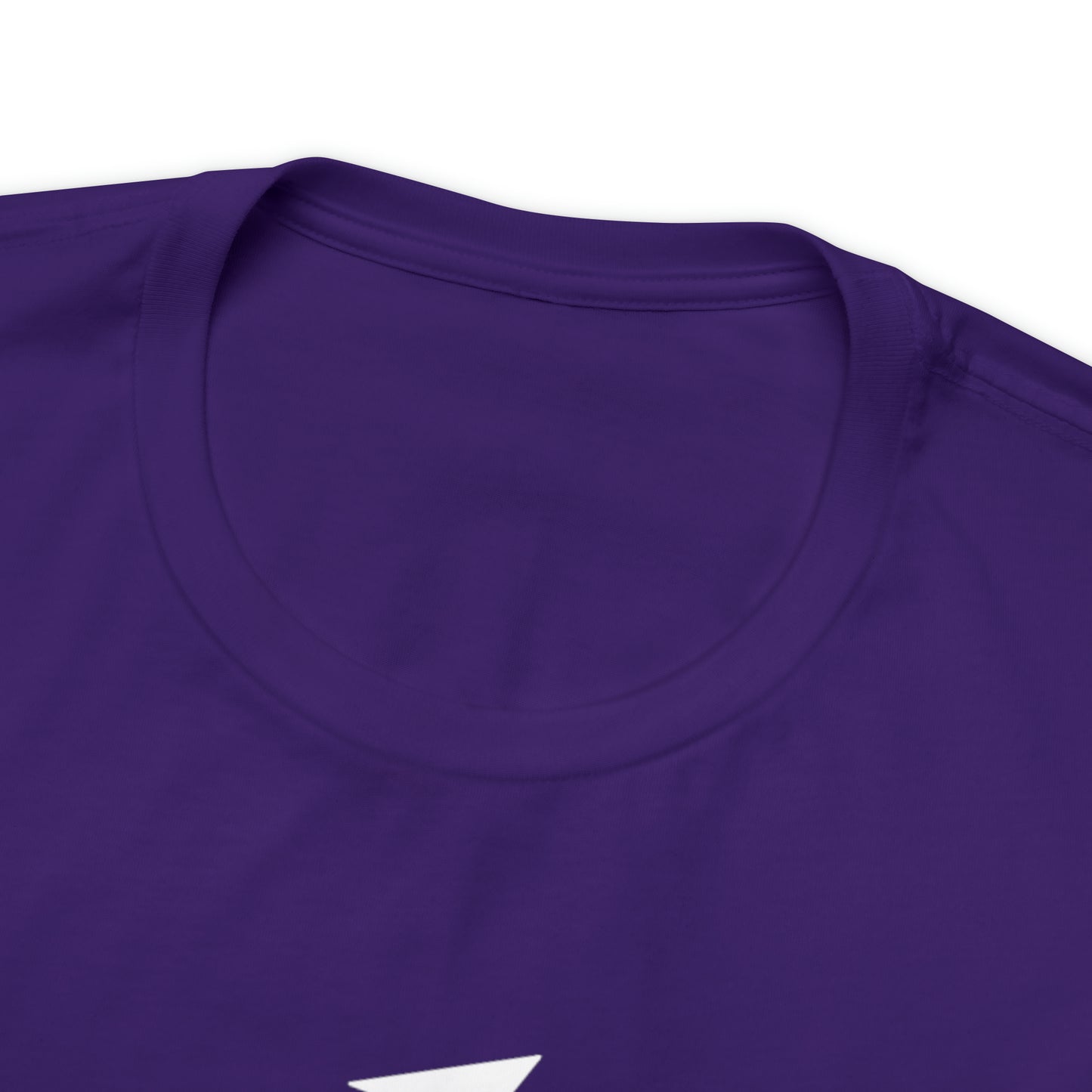 Don't Just Fly, Soar Motivational Shirt